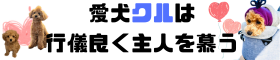 愛犬クル